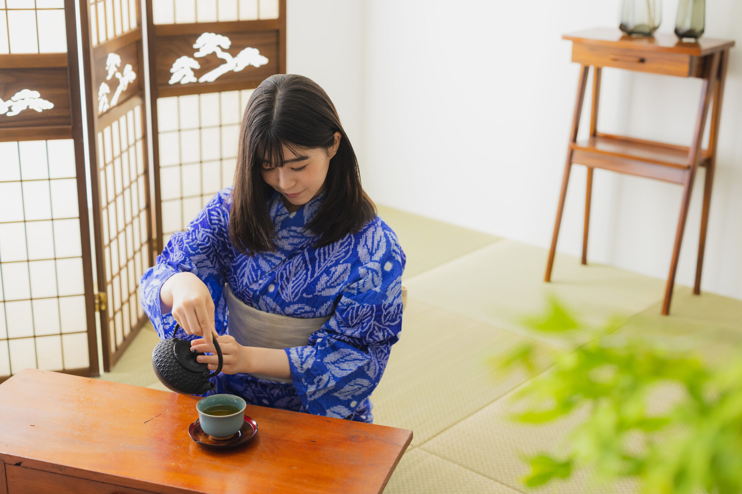 超逸品】本塩沢お召し(逆絣技法)があり単衣にはもってこいです - 着物