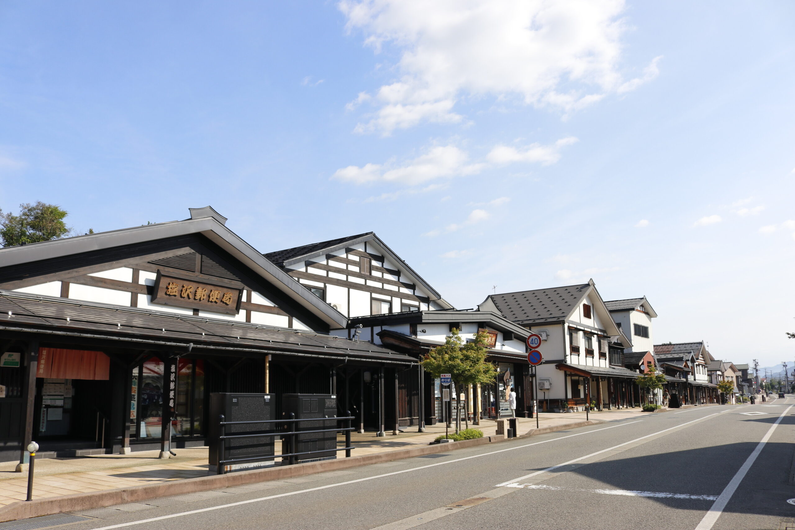 証紙あり　本塩澤紬　無地袷の着物　余り布あり